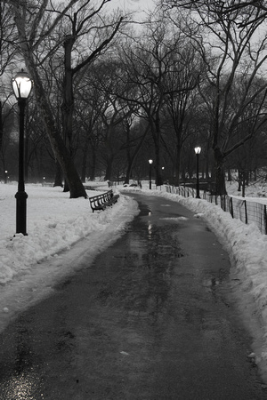 Snowy Central Park - 2014