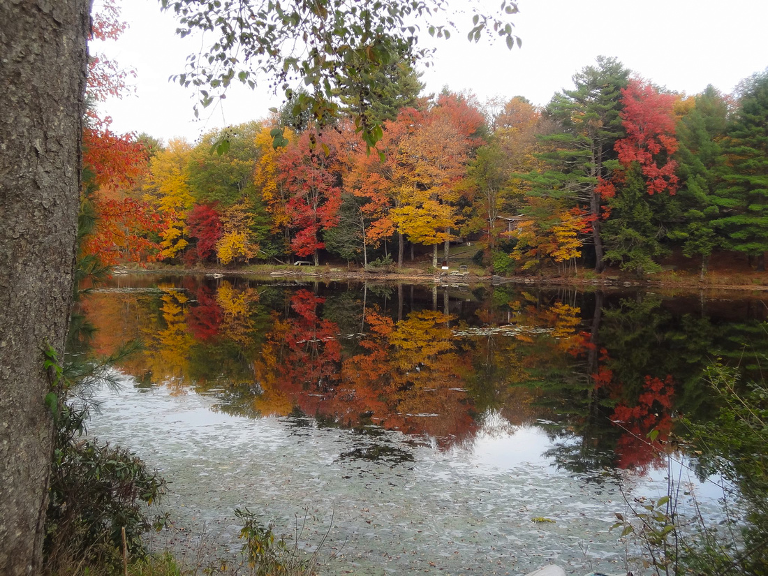 Catskills - Sullivan County, NY -- Smallwood Lake