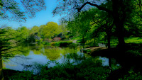 Central Park South