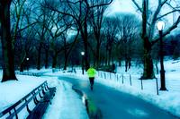 The Runner in Central Park