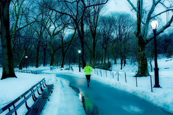 The Runner in Central Park