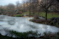 Central Park off Fifth Avenue and 59th Street