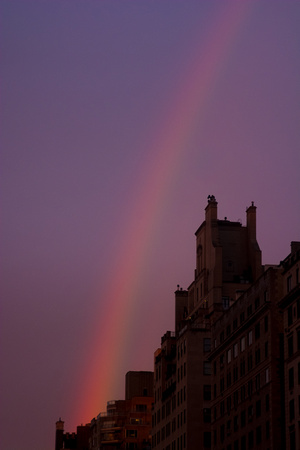 She's a Rainbow - Fifth Avenue near 83rd Street